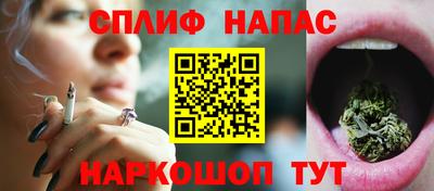 тгк Партизанск