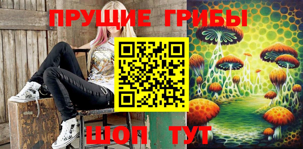 Сердобск  Галлюциногенные грибы Psilocybe  Псилоцибиновые грибы ЛСД  Вход с VPN 
