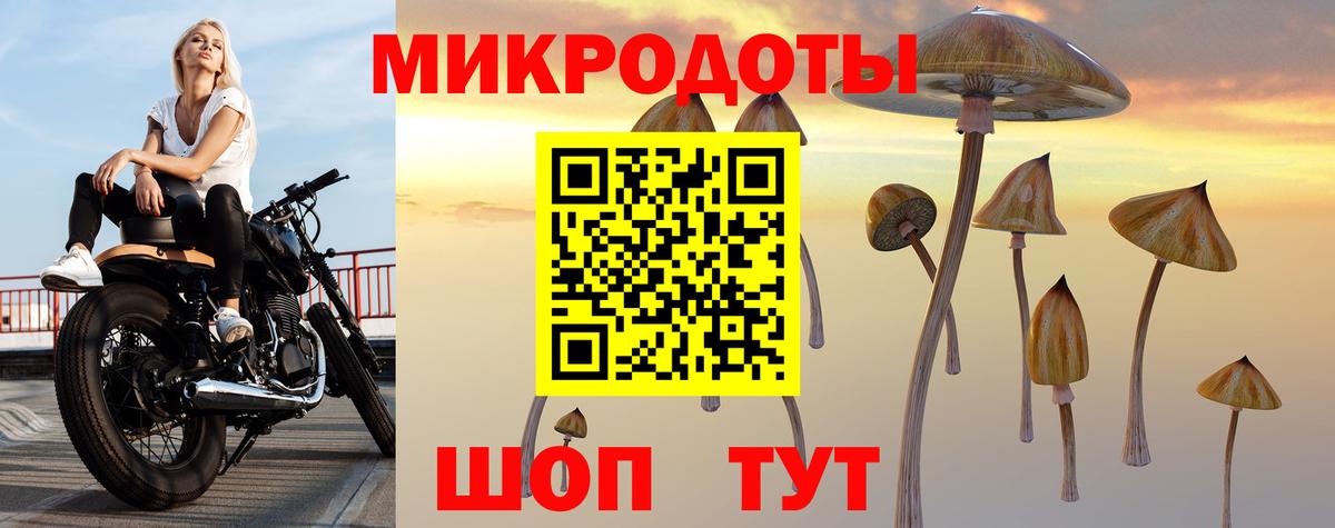 Галлюциногенные грибы мицелий Сердобск
